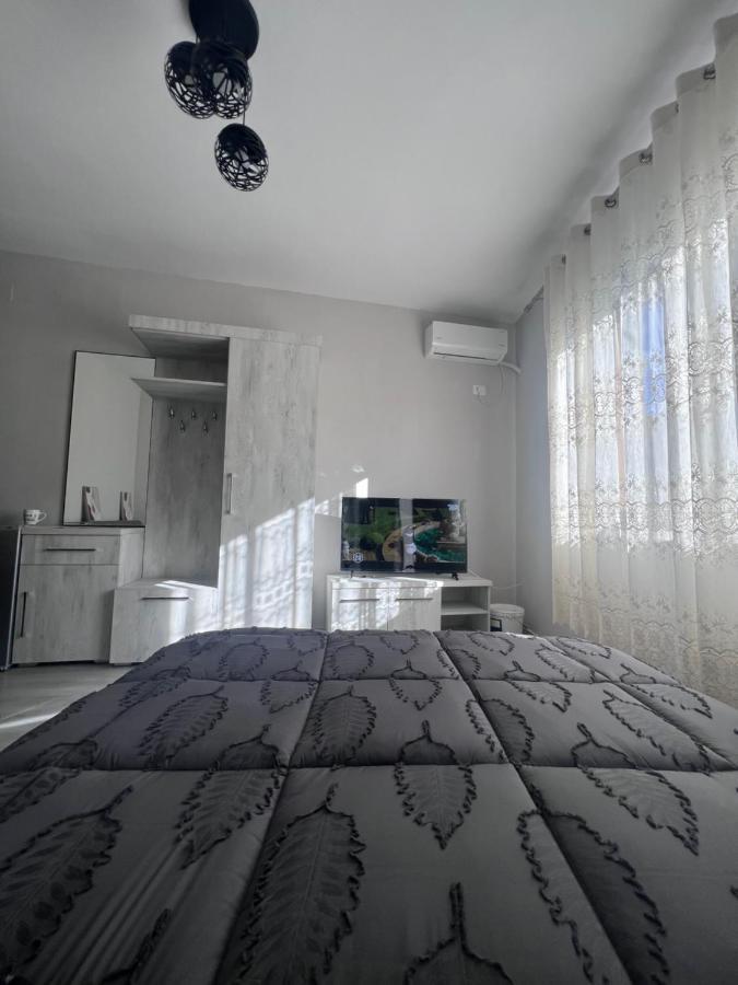 Cozy Center * Shkoder